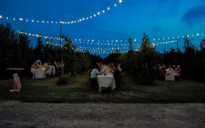 Farm to Table Dinner at Fifer Orchards