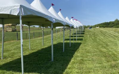 High Peak Festival Tents, 10′ x 10′