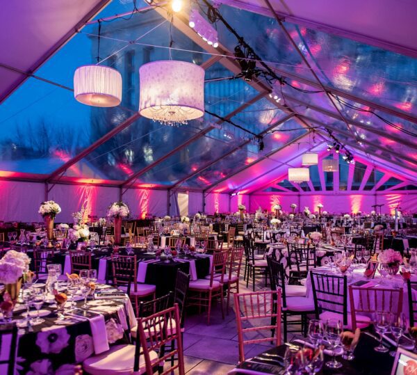 frame tent with clear mid panels and pink up-lighting