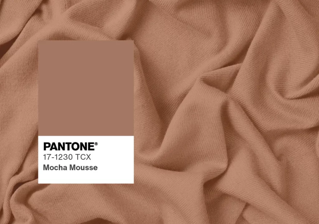 Pantone 2025 Color of the Year Mocha Mousse